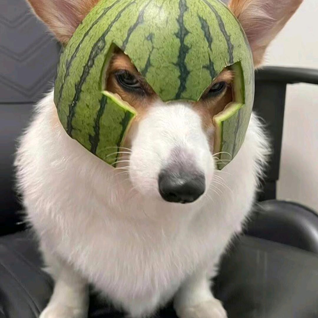 许愿%