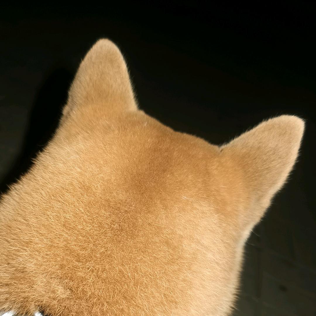 不踩井盖