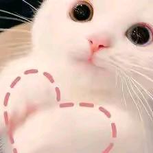 单身。，，，