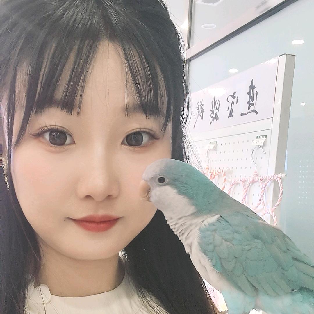 连宝鹦鹉