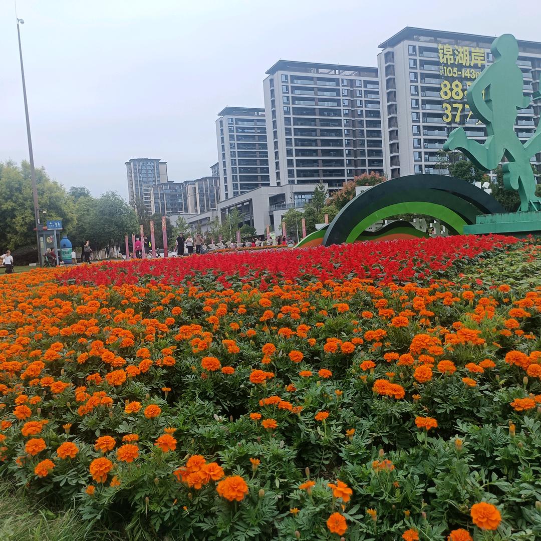 励志小伙（二少）