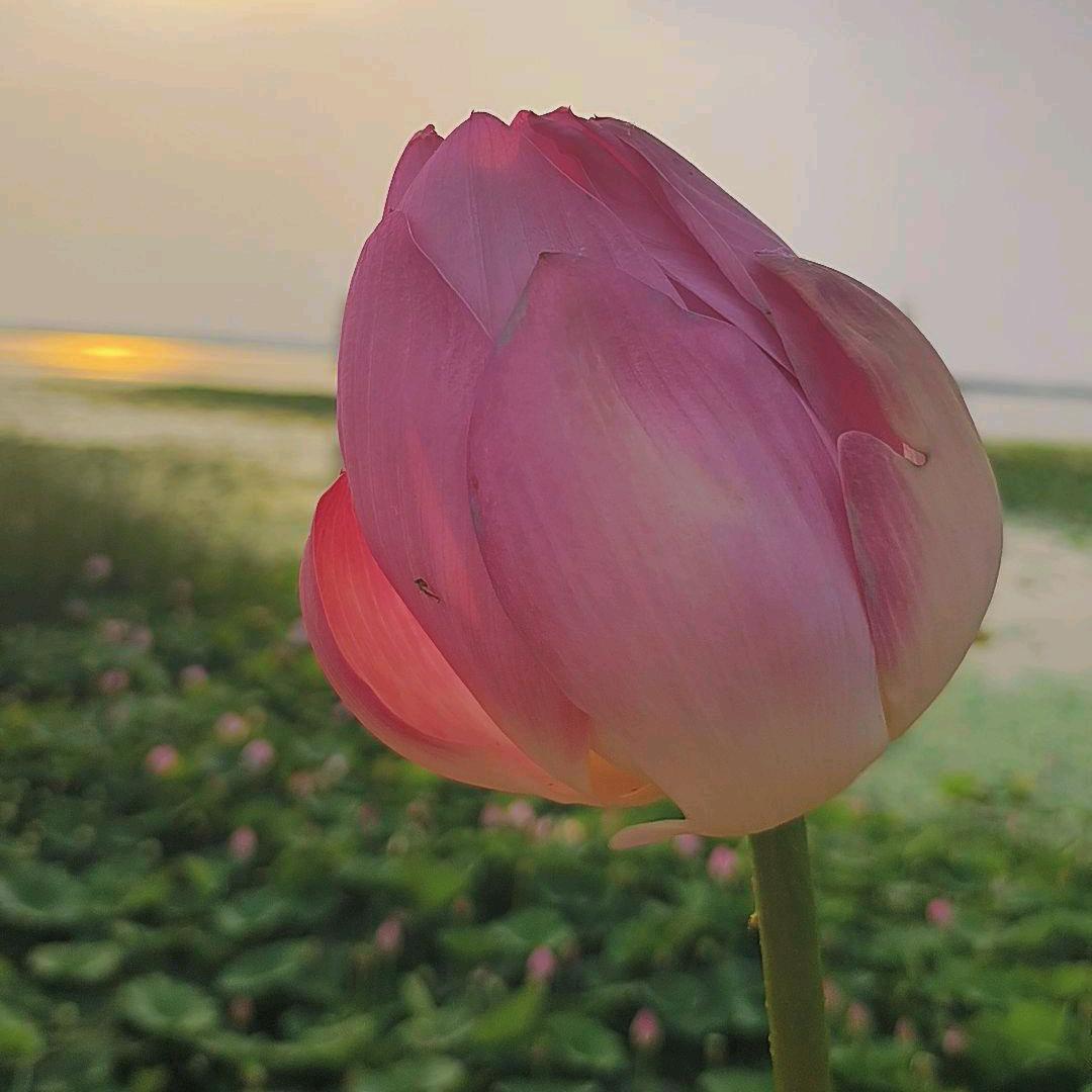 李田楼断码鞋城