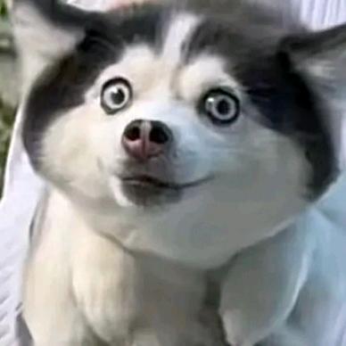 神仙哥ʸᵘ⚡️🥬