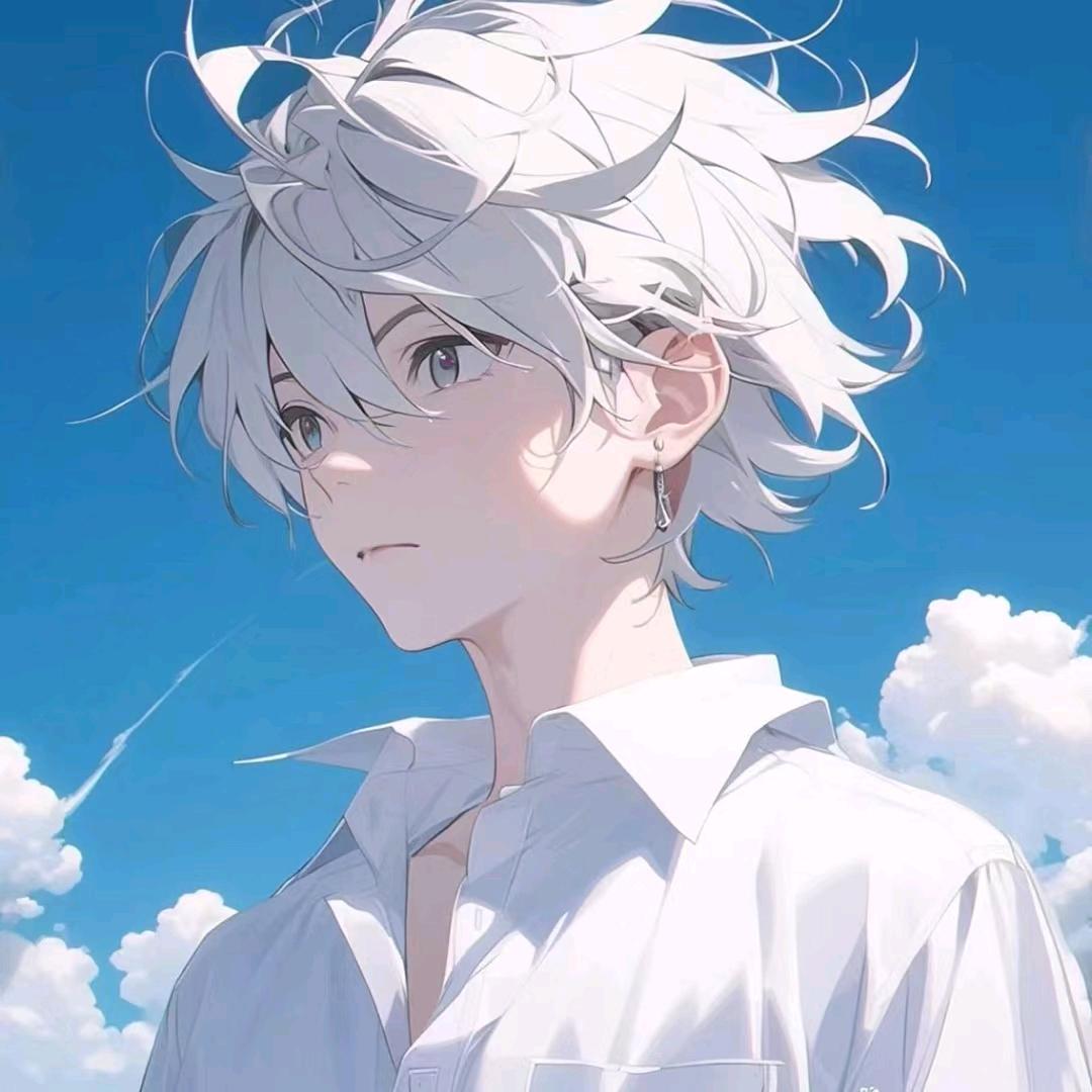 国服阿珂猪猪侠