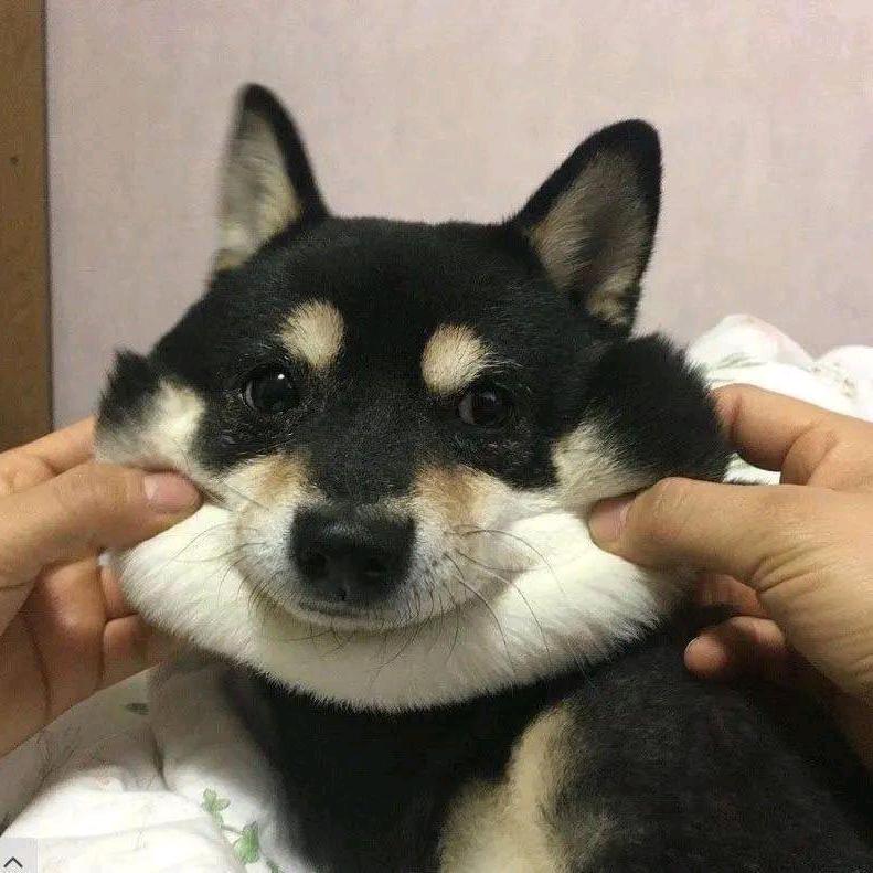 锦墨