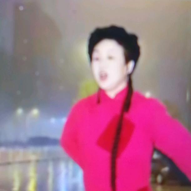 引子好物