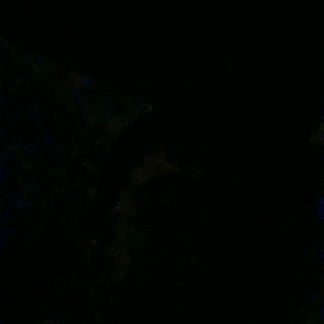 路人