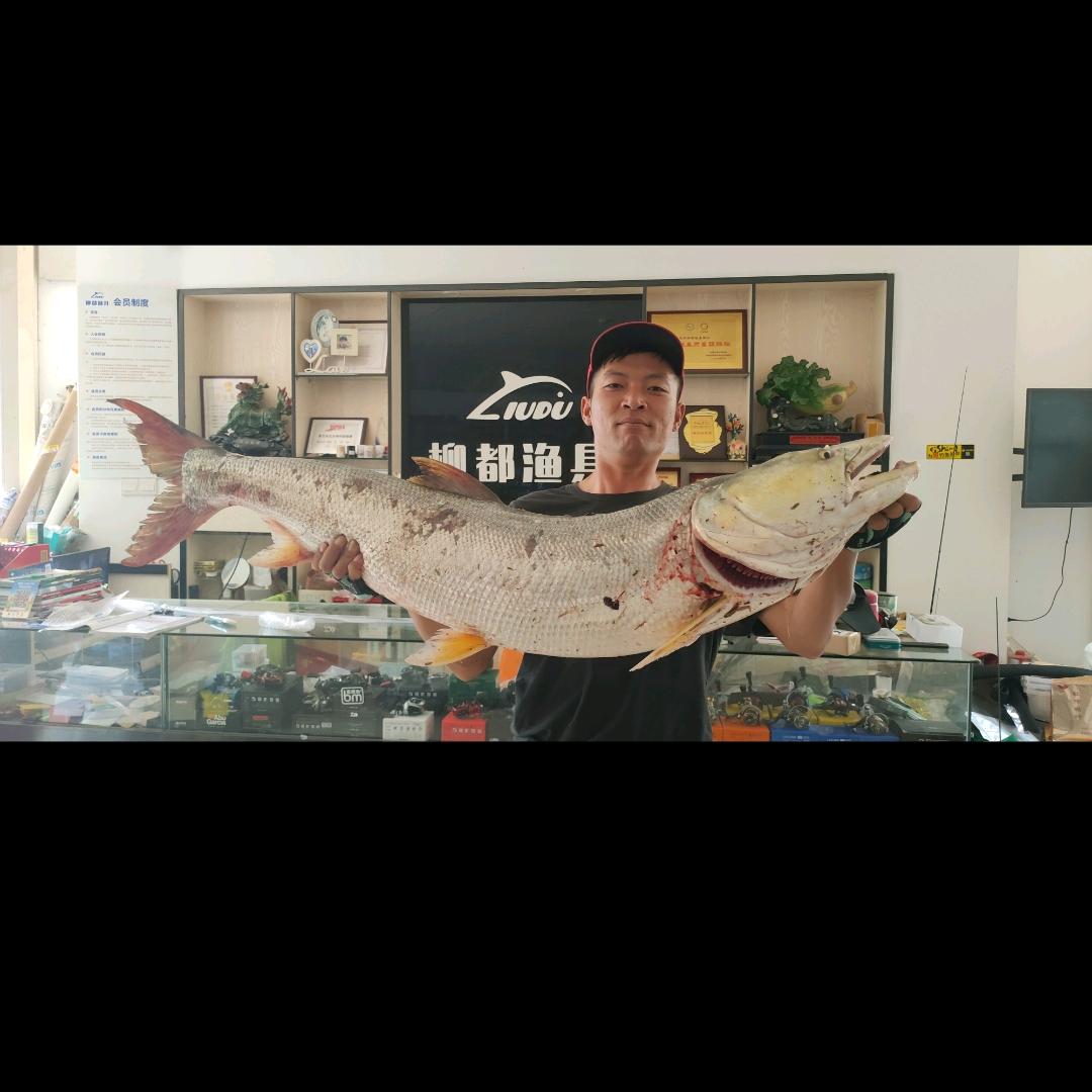 常德柳叶湖佳龙路亚