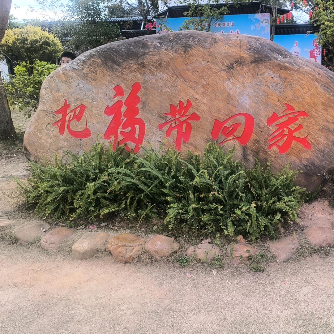 李飞龙