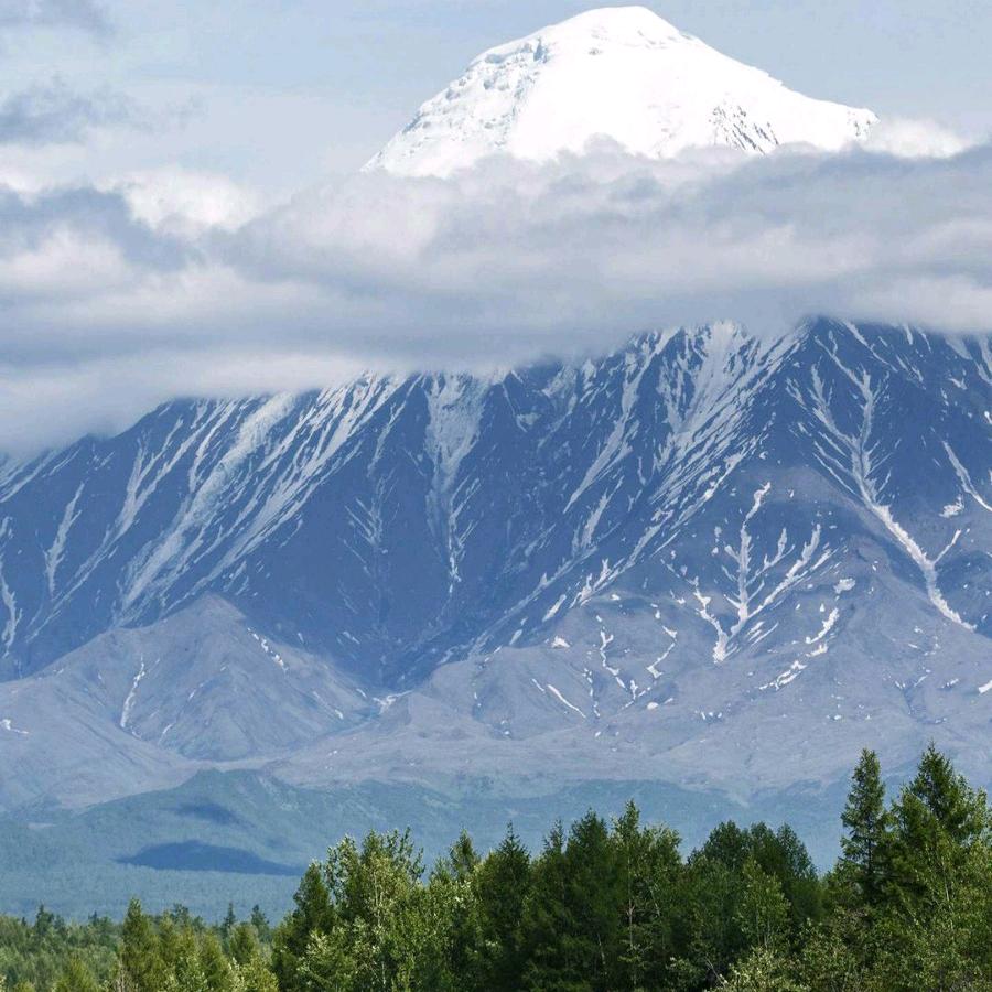 海康威视(三潭路店)看的福才直播号