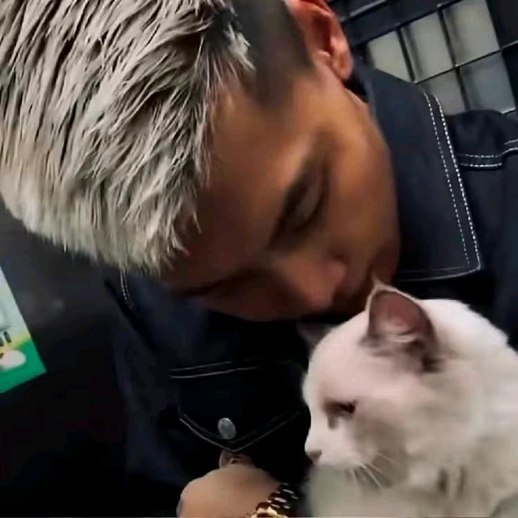 变 成 英 雄 保 护 她