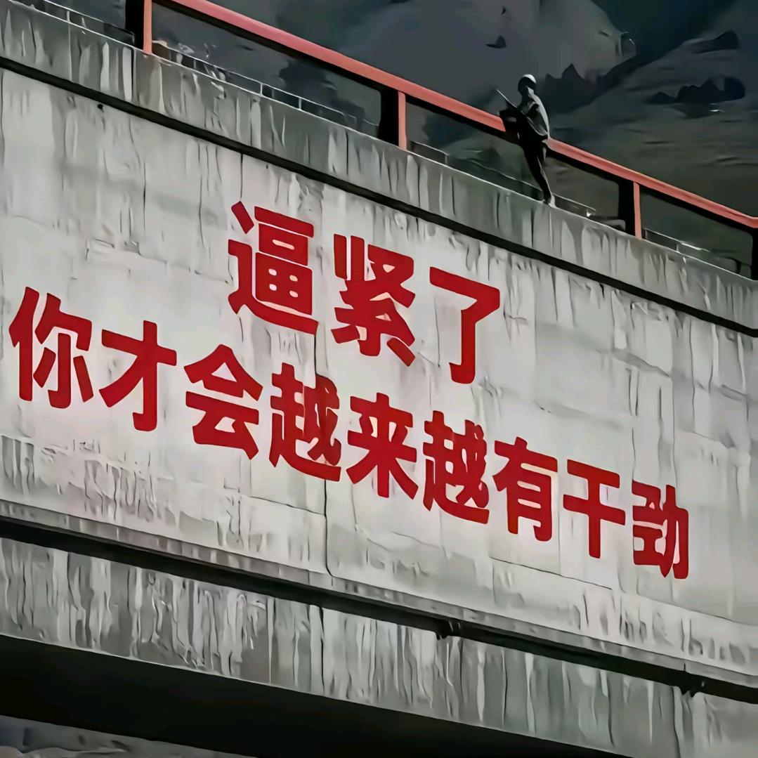与狼共舞💃