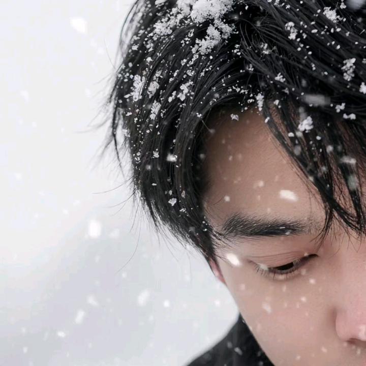 风止何安