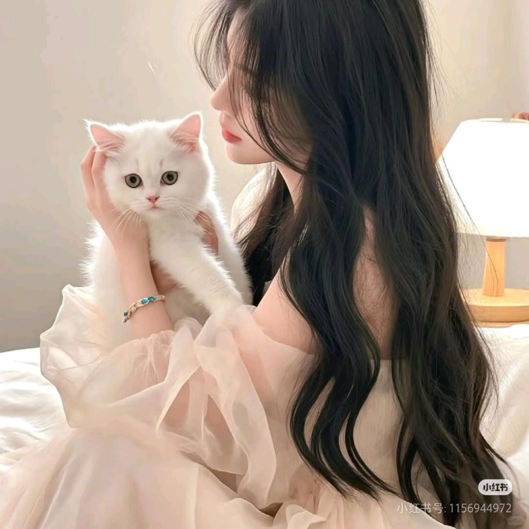 小财猫