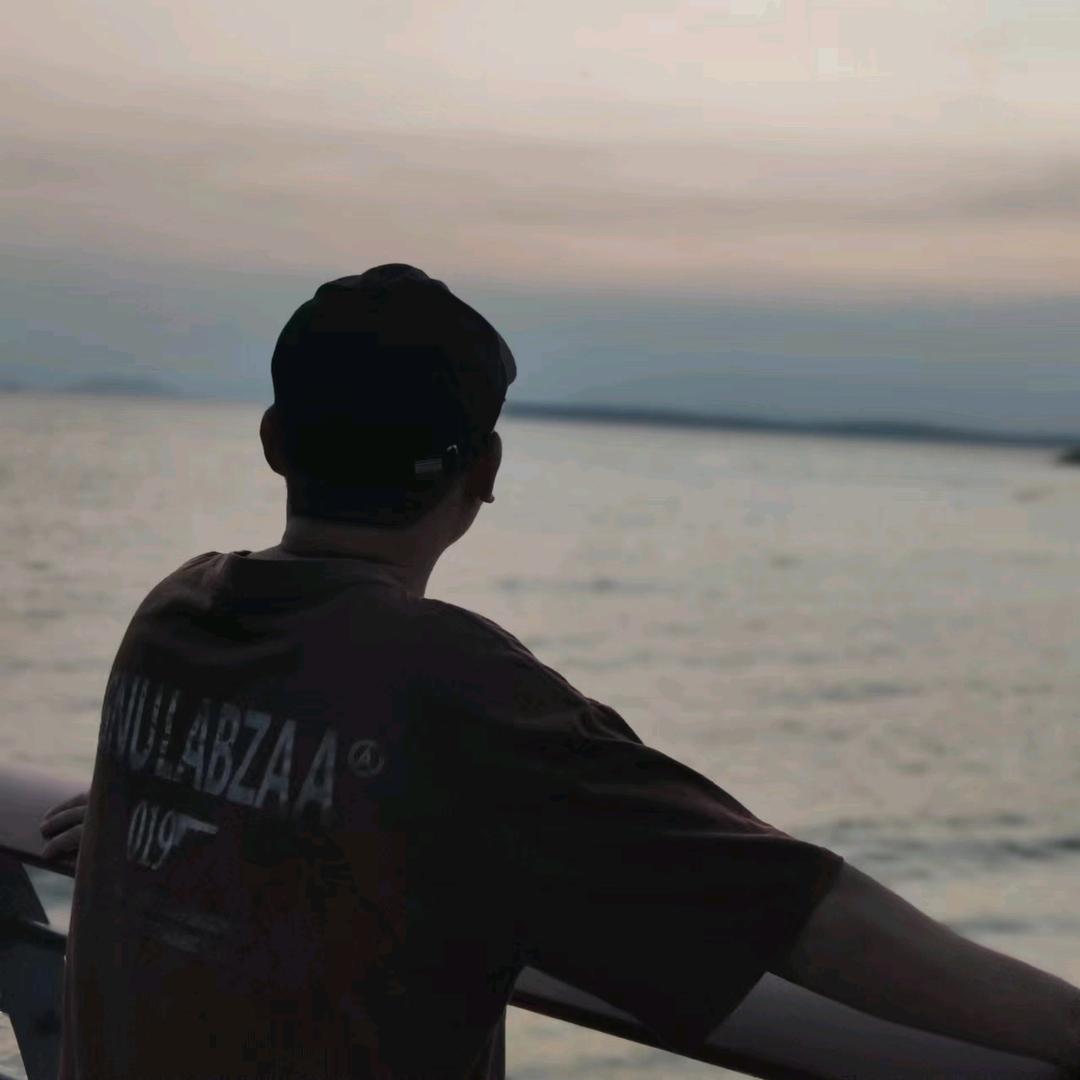 白鸟故迟留