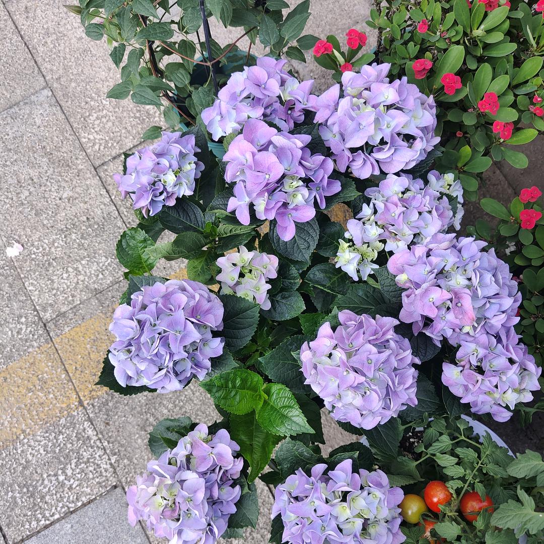 少少好物优选