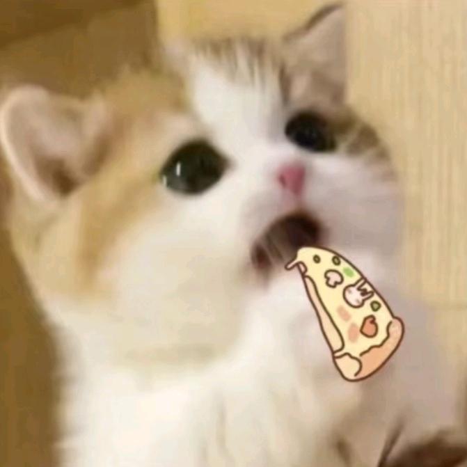 卡布叻_徐晚晚🌙