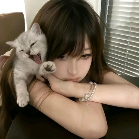 房顶的猫.