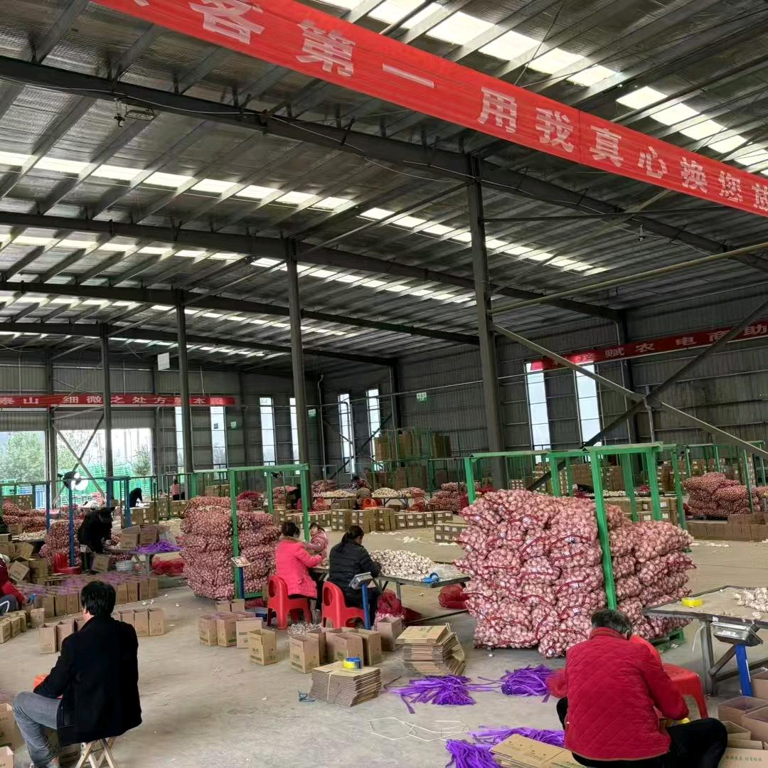 聚划蒜大蒜基地