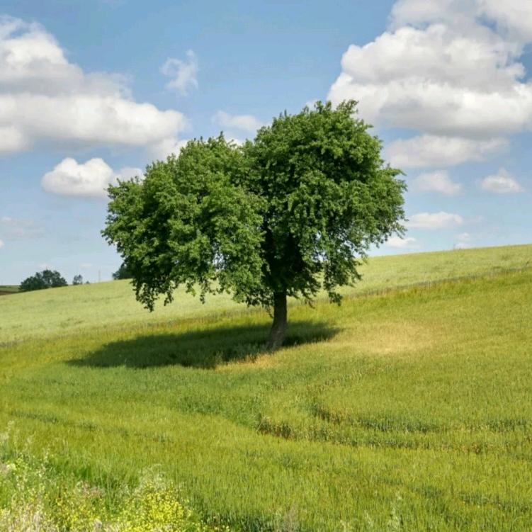 AA＆往事随风＆3666＆