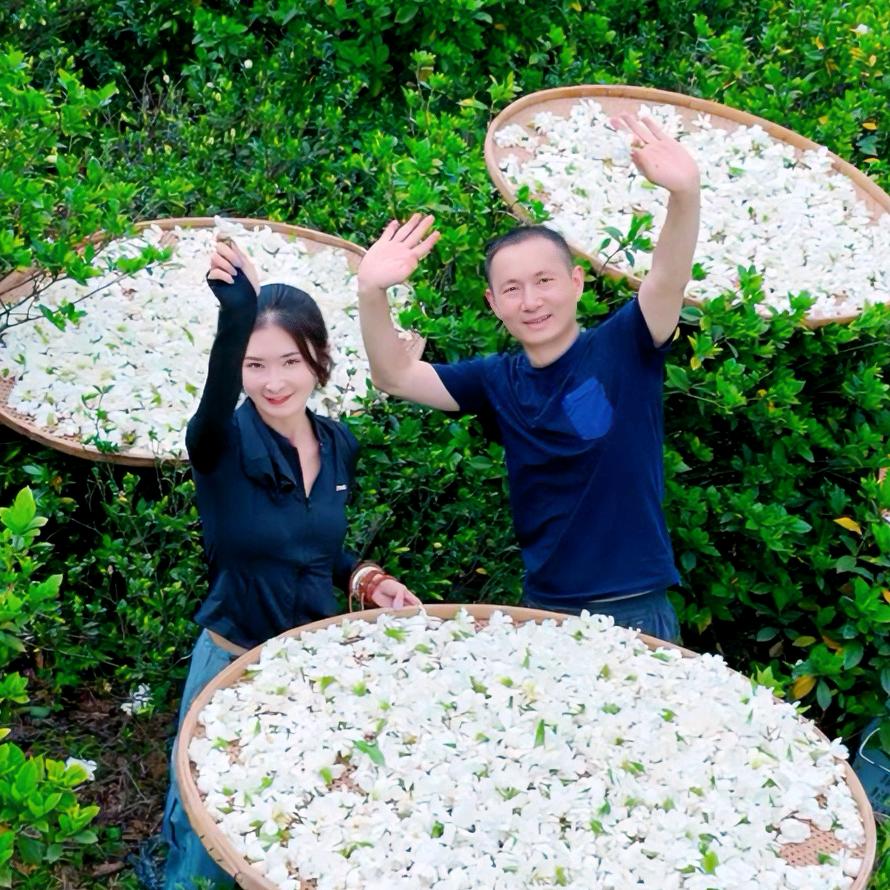 茶山兄妹只窨真花茶