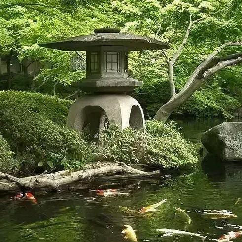 新余牛的
