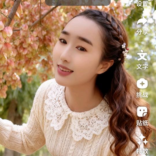 含羞草🌷