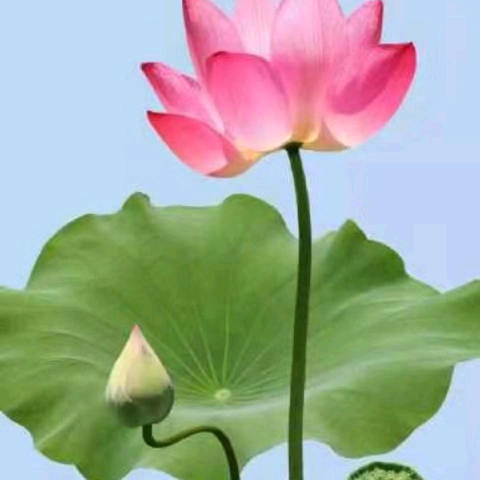 程大姐🌹🌺