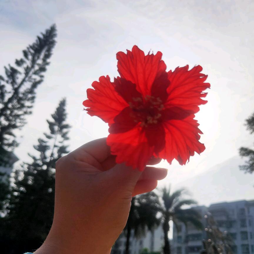 💕᭄缄ꦿོ࿆默᭄🕊