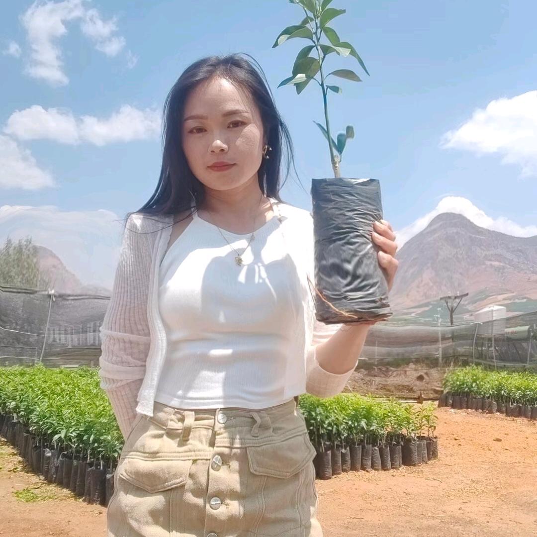 👑汤丽姐姐