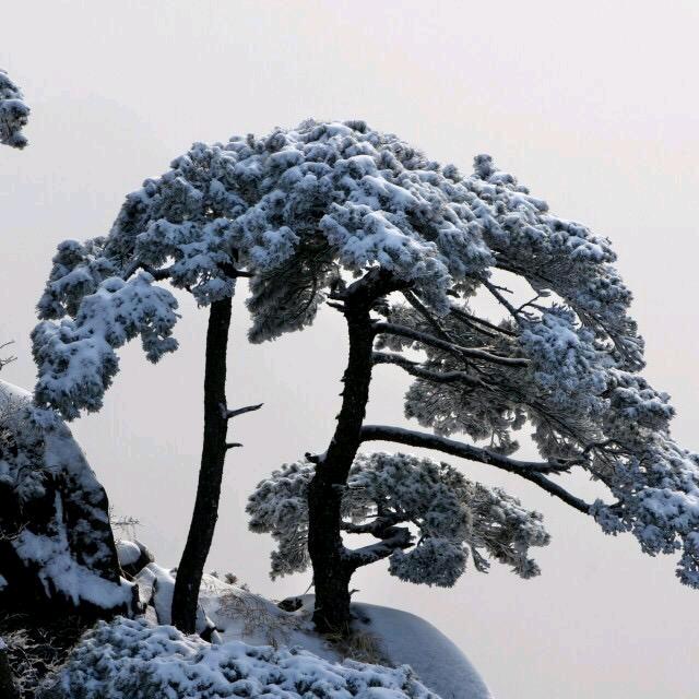 七彩祥云