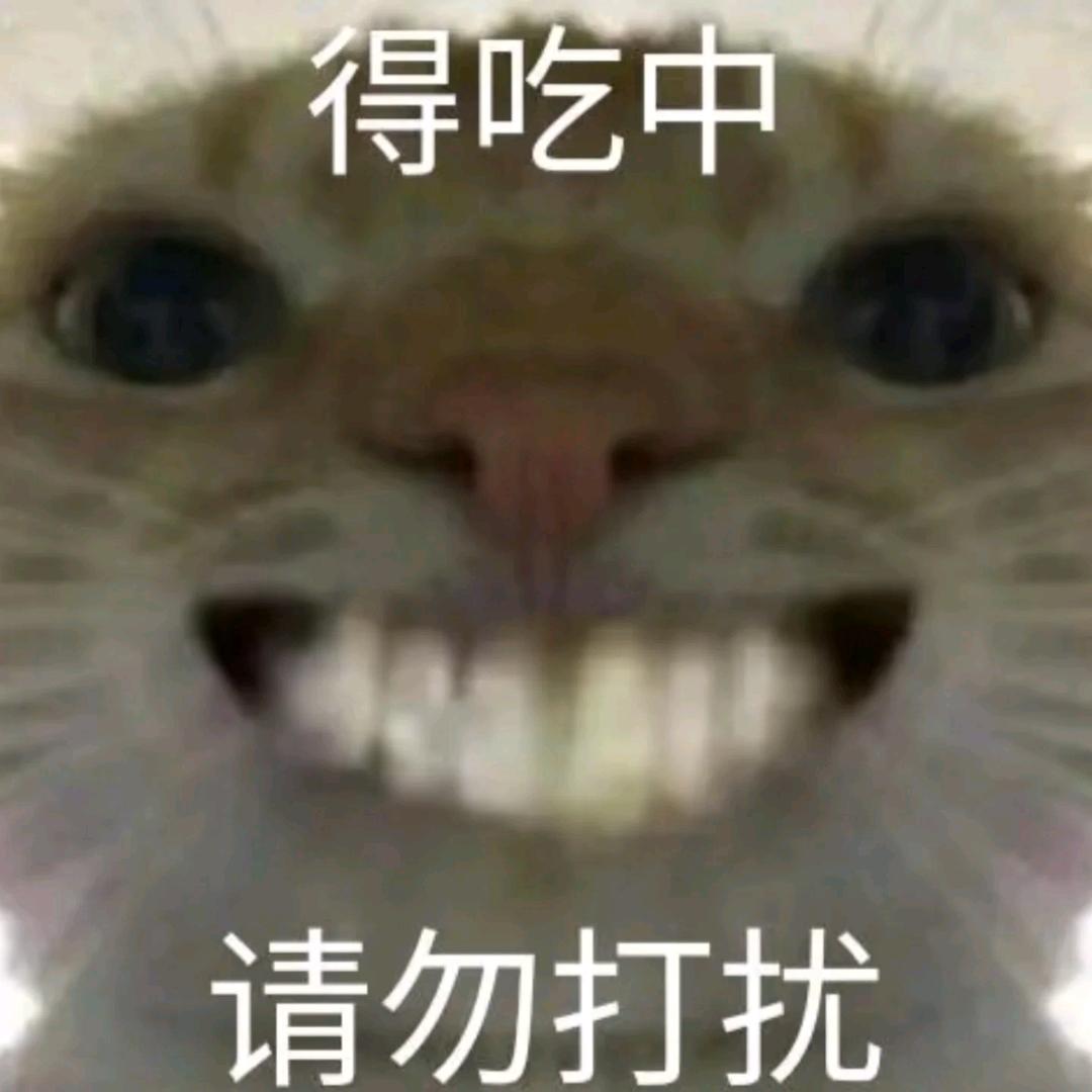 废物的车混