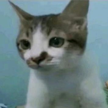 雞脖衝