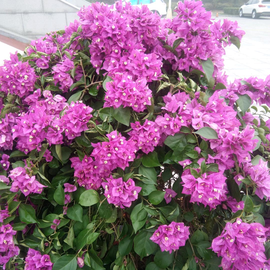 木工余姐