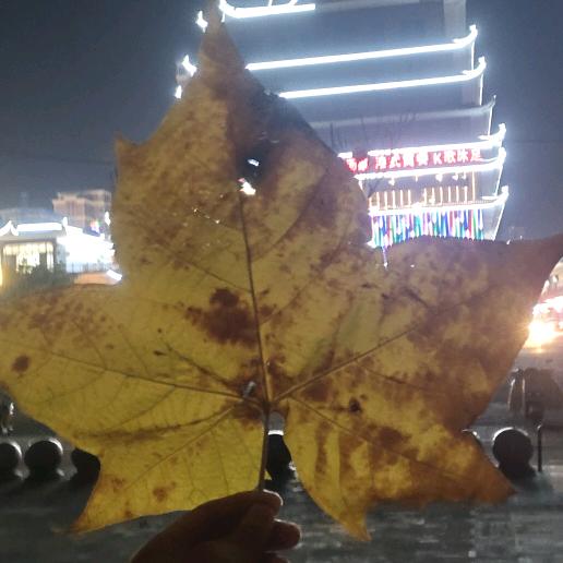 《童话豆豆之旅》～～～～