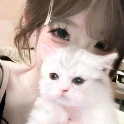 少女猫