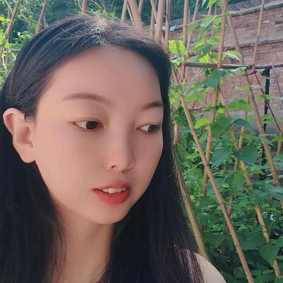 慵懒的猫
