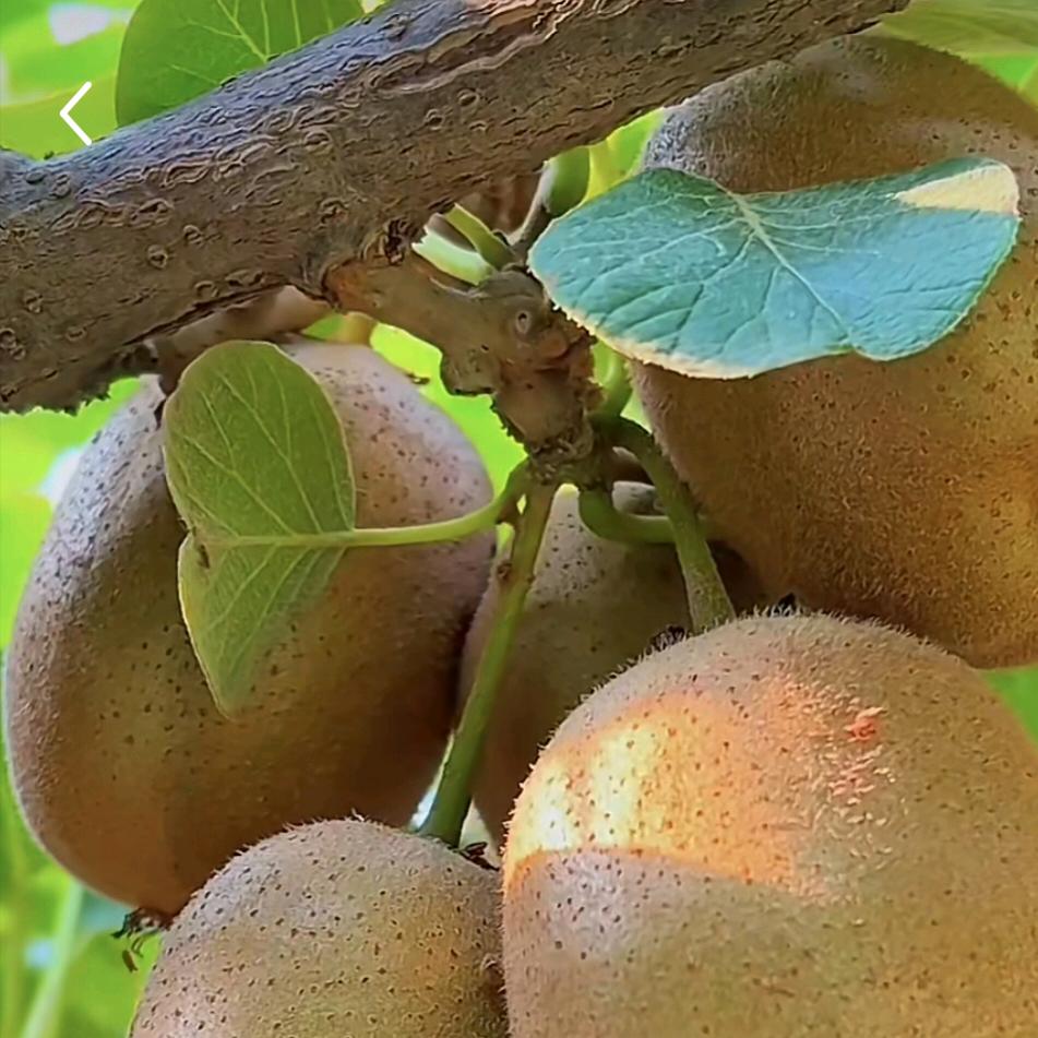 等个对对我一直好的人