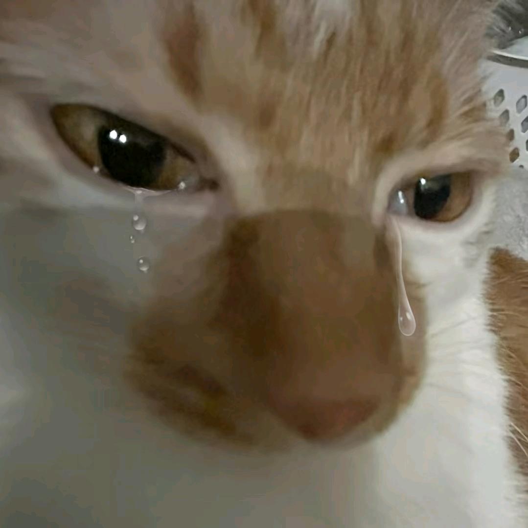 椰子鲫鱼昆布萝卜汤