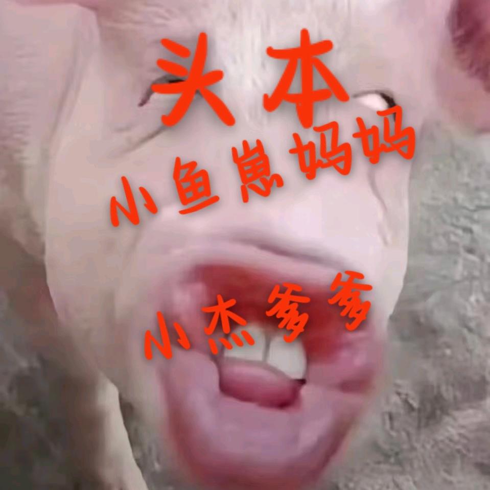 𝓦•屿姸