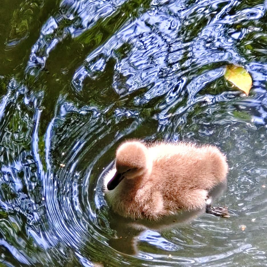 哈哈哈哈哈哈哈哈哈哈