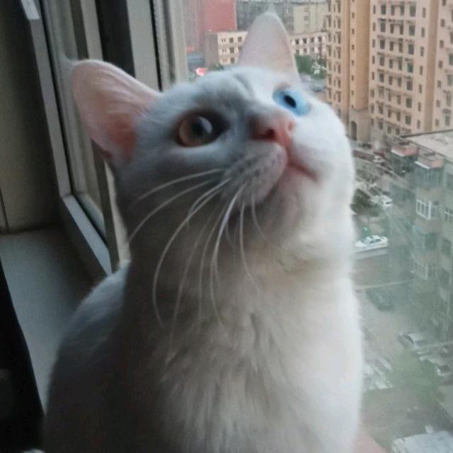 岁月静好🍒