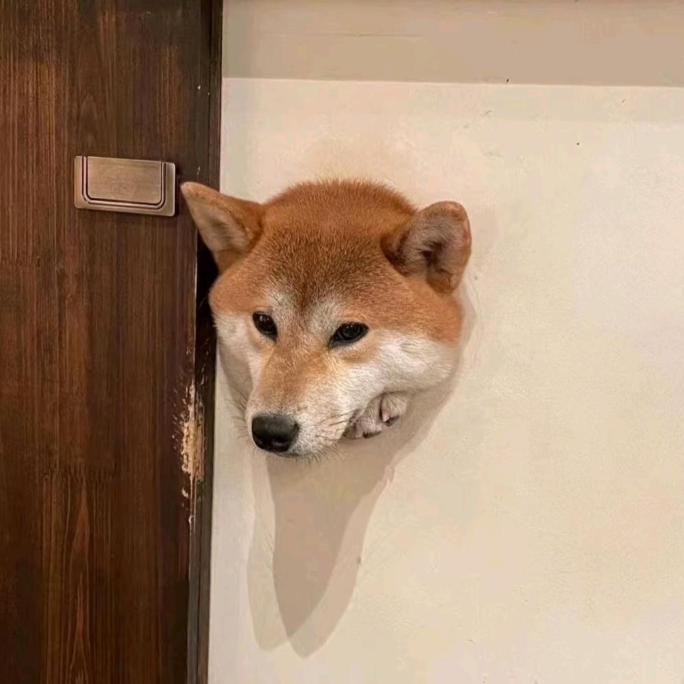 小陈困了吗？✨