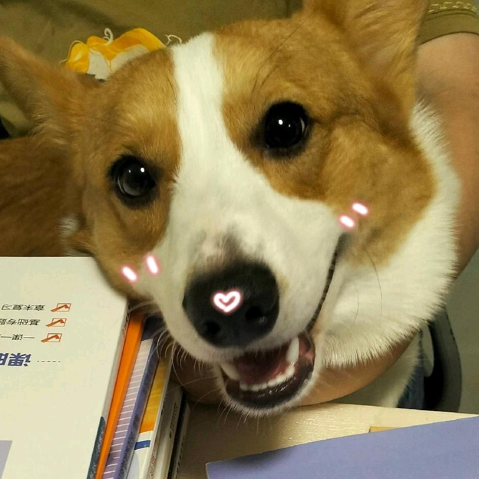 秃噜噜噜捏
