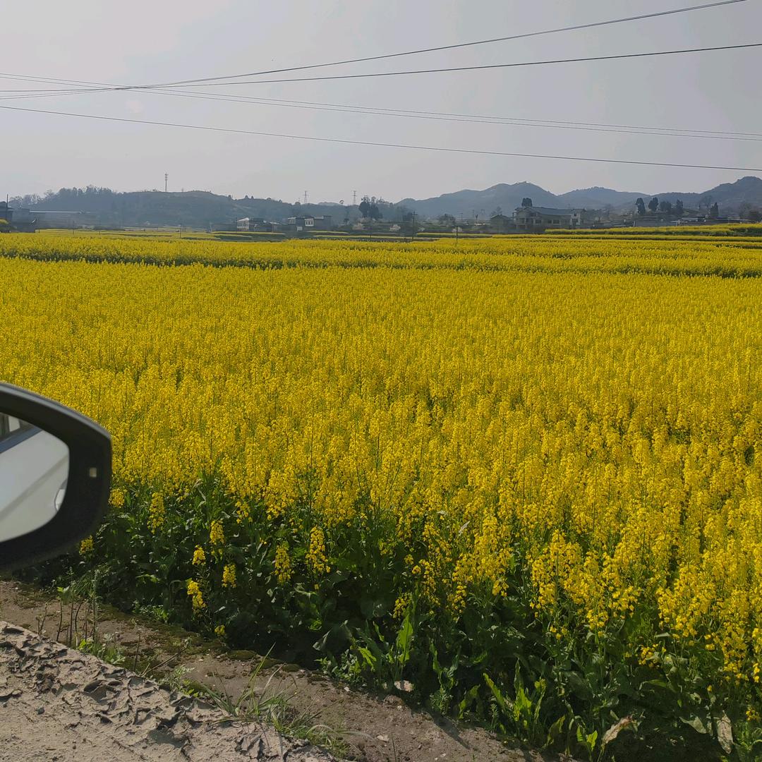 💫小伟哥🌙🤠