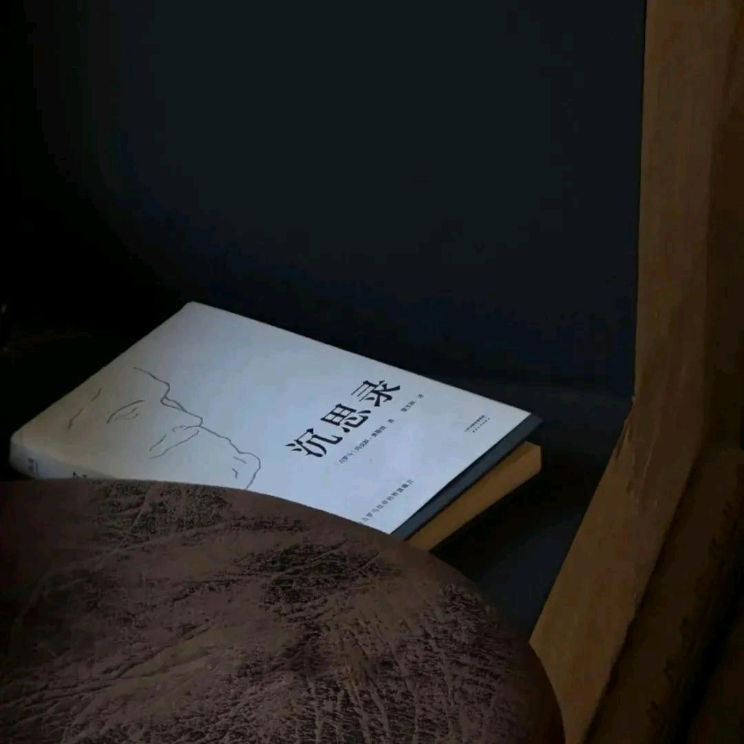 诗华