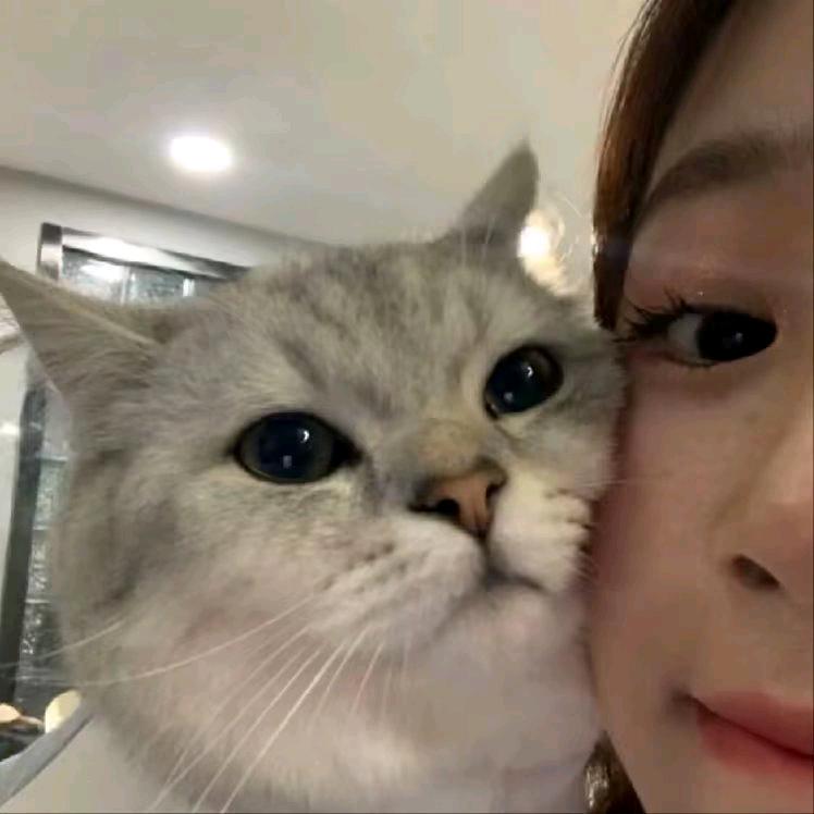温柔小姐👣