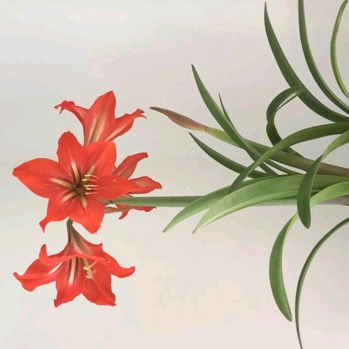 誉美好物