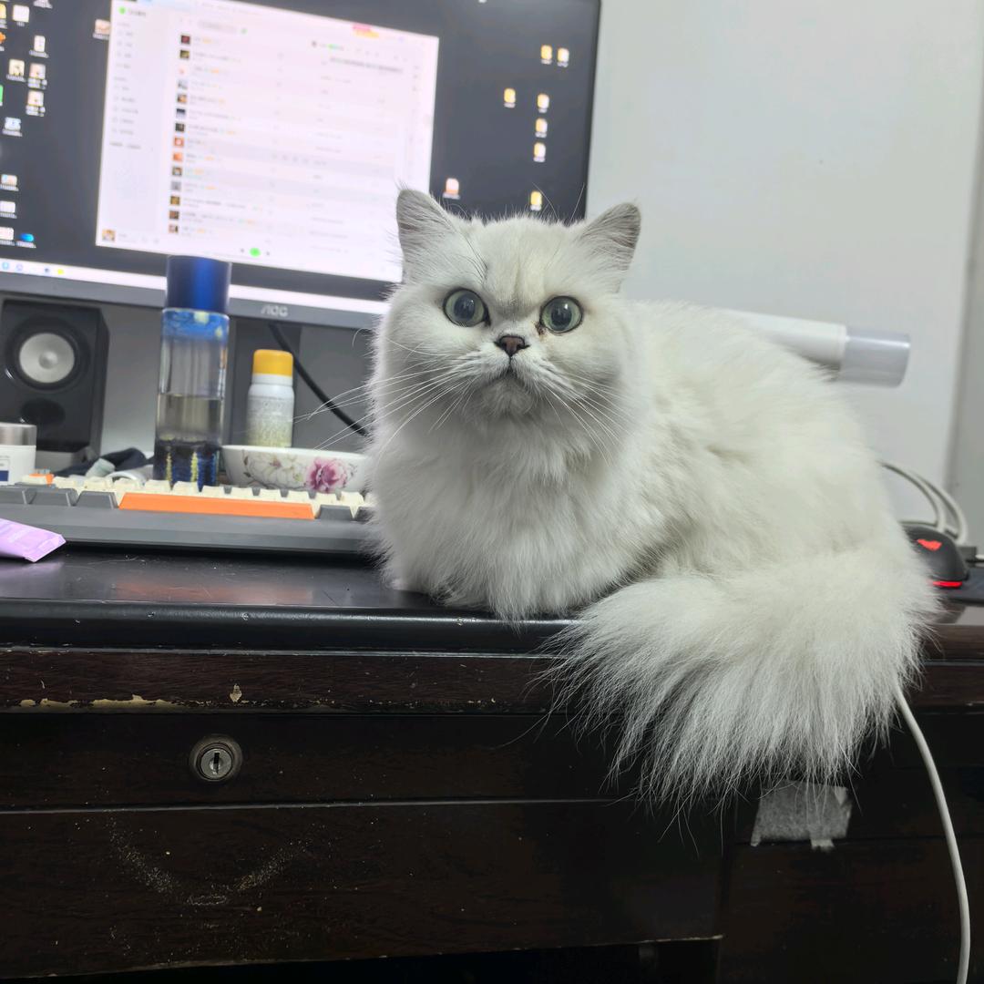 星云