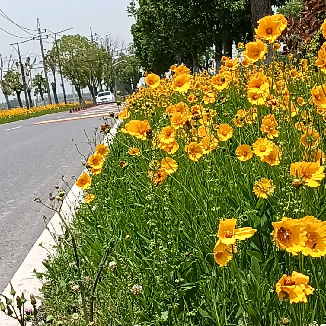 ঞ🍒时光꧔ꦿ᭄安好࿐ᩚ（连赞拉黑）